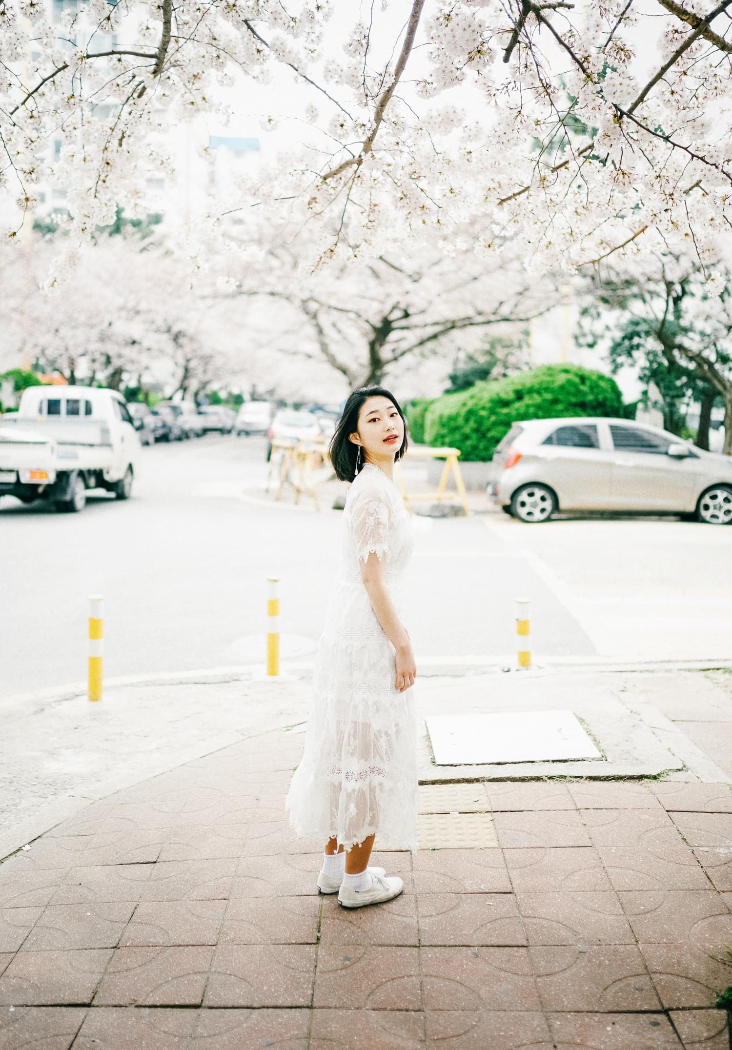 개인스냅 벚꽃스냅