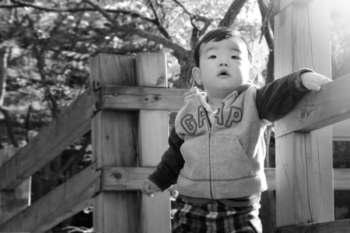 토다이 중계-최승민