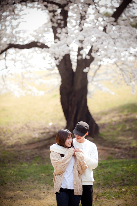 벚꽃 데이트 스냅