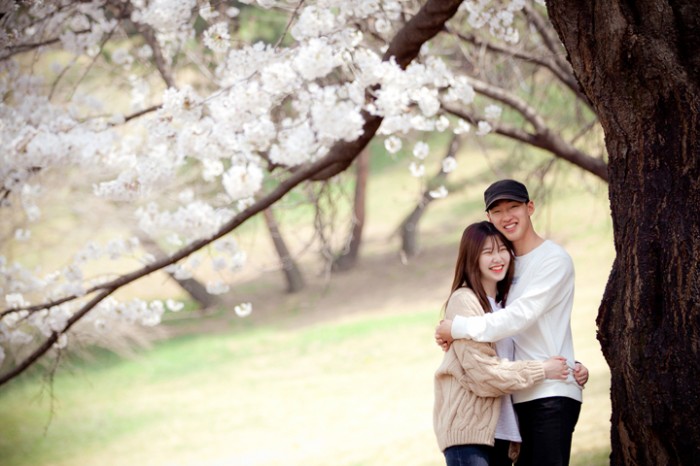 벚꽃 데이트 스냅